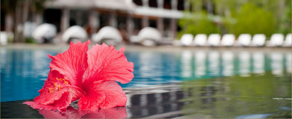 Gayana Marine Resort Kota Kinabalu Extérieur photo